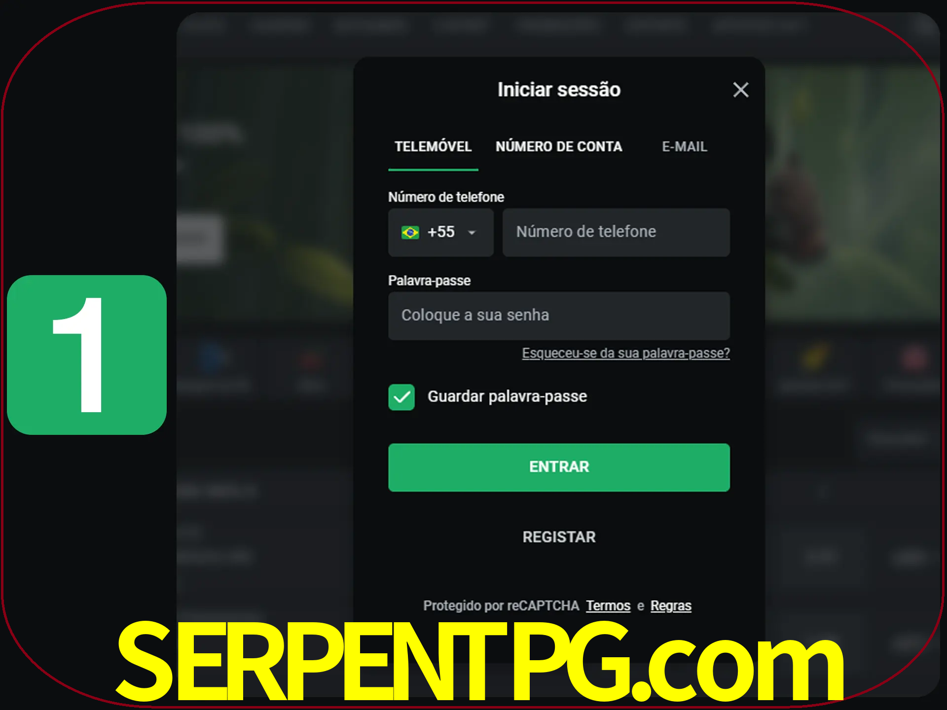 Clique no botão Entrar.